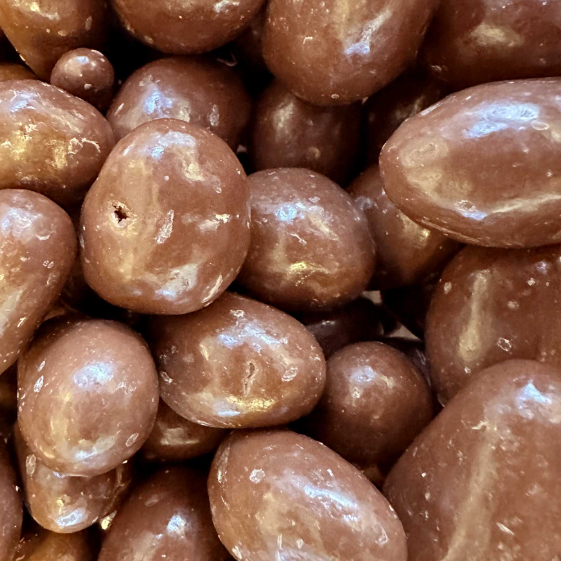 Chocolate Covered Brazil Nuts