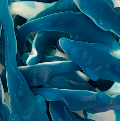 Giant Dolphins