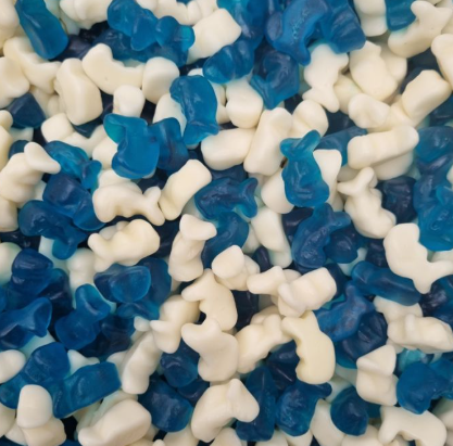 Baby Blue Dolphins