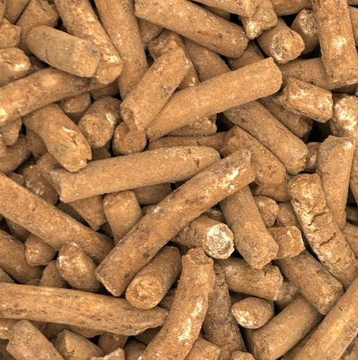 Sweet Dreams Orange Chocolate Nibbles