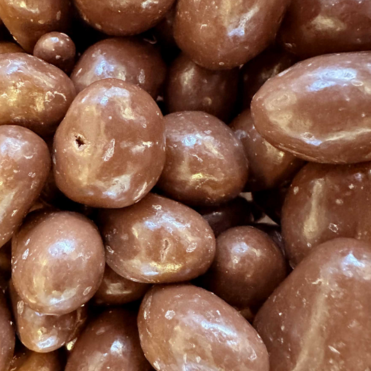 Chocolate Covered Brazil Nuts